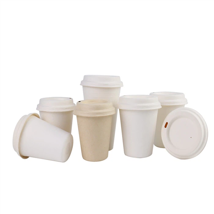16 Oz Disposable Sugarcane Bagasse Coffee Cup